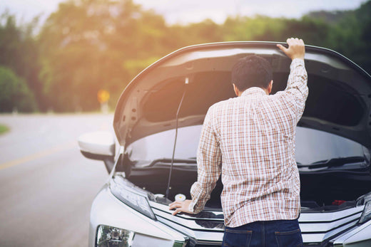 Five Common Pests That Can Damage Your Car (and How to Prevent Them)