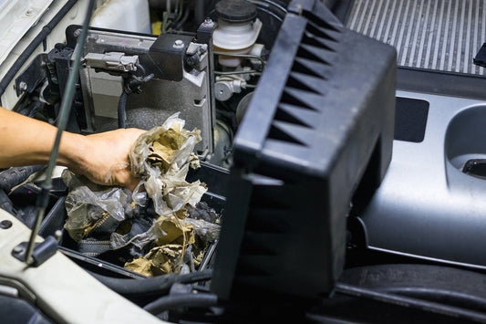 Nesting debris in car engine