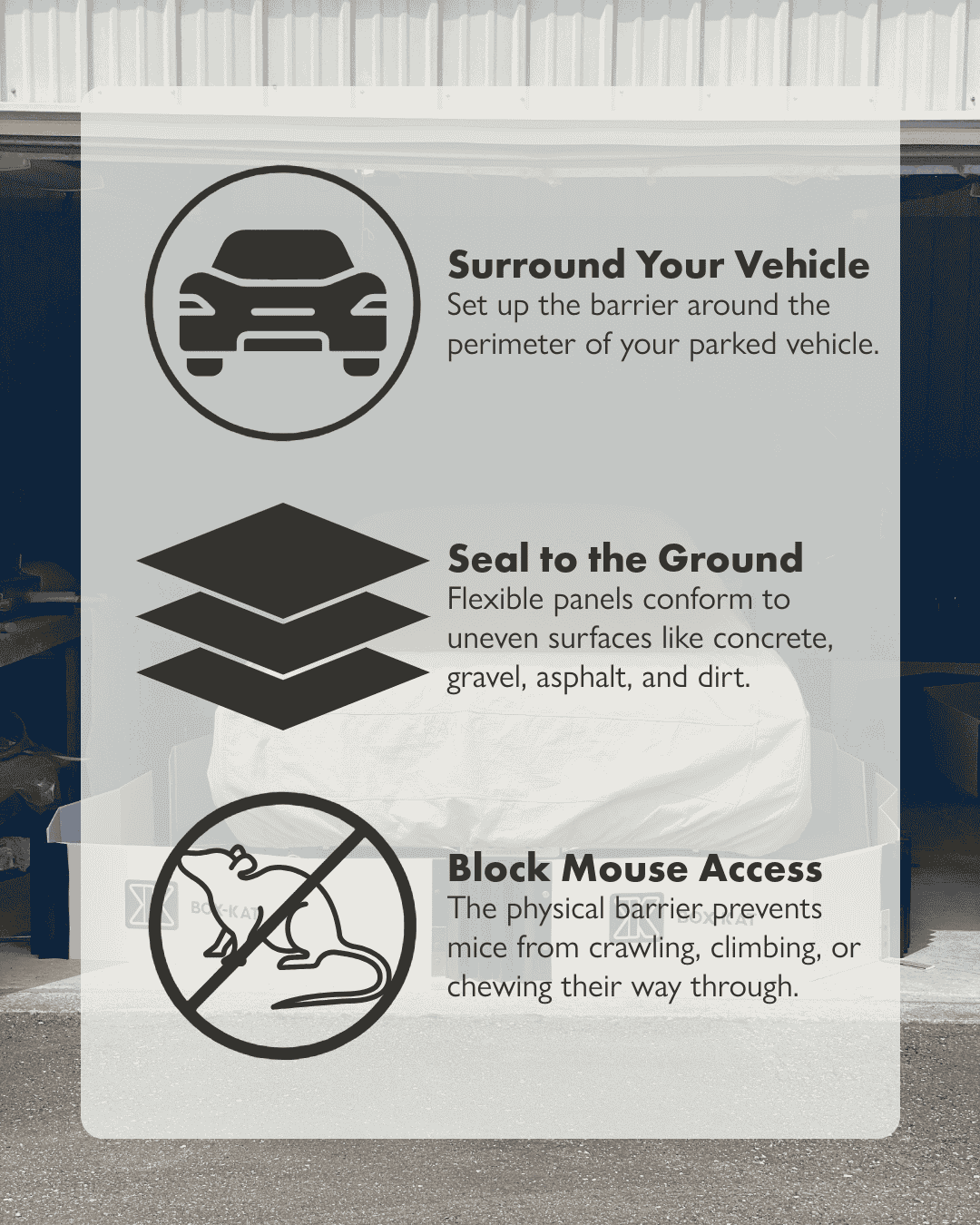 How does the Box-Kat mouse barrier work graphic