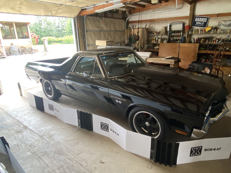 Box-Kat mouse barrier around El Camino in garage